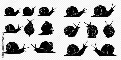 Set of various snail silhouettes, mollusk vector illustration, garden slug icons, gastropod collection.