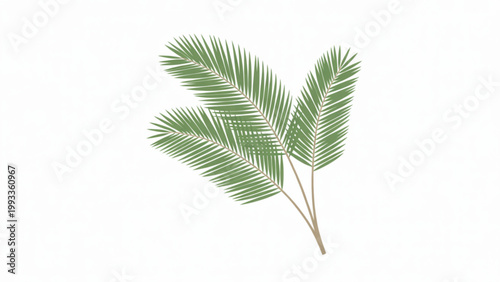 A delicate cluster of finely textured green parsley leaves with vibrant stems, showcasing the intricate natural beauty of this aromatic herb. Vector