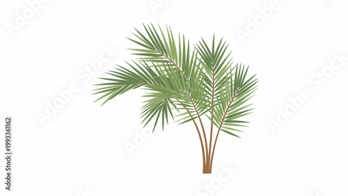 A lush green indoor plant with elongated leaves and a slender brown trunk standing upright and vibrant Vector