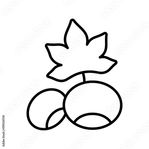 Chestnut nut icon. Food and nuts line symbol. Black and white.