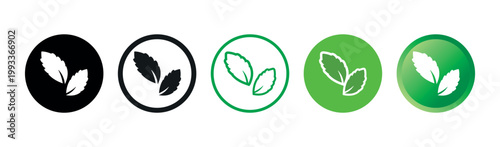 Tableau sur toile Stevia Sweet Green Plant Leaves Vector Icons Set on White Background