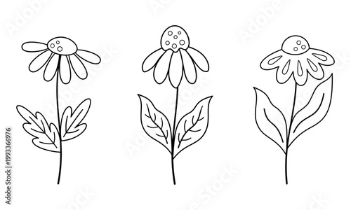 Flowers coloring page, Spring floral coloring book outline, Summer flower doodle, Hand drawn vector illustration