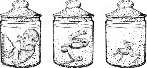 Hand drawn illustration set in a dark plague doctor theme, medieval medicine, anatomy, and occult aesthetics. Vintage engraving style, suitable for gothic, historical, and dark