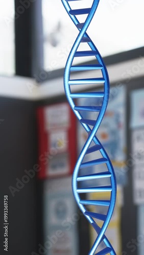 Vertical video: Playback starting, blue DNA helix rotating in classroom revealing turns for biology