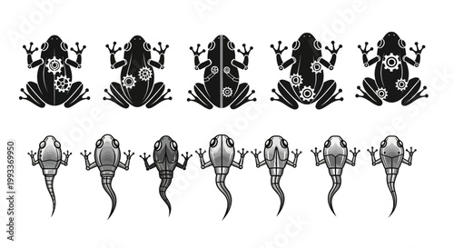Black and white lizard illustrations.