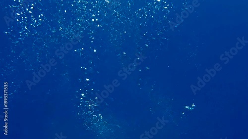 Underwater Bubbles Rising in Ocean.