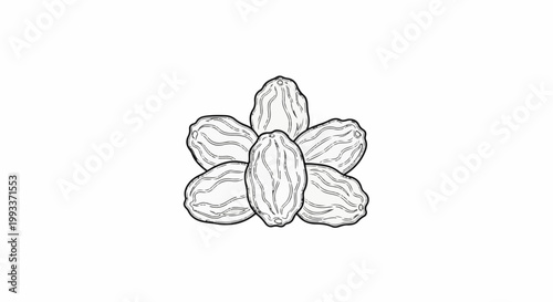 A cluster of wrinkled, oval-shaped dried grapes drawn in a sketched style