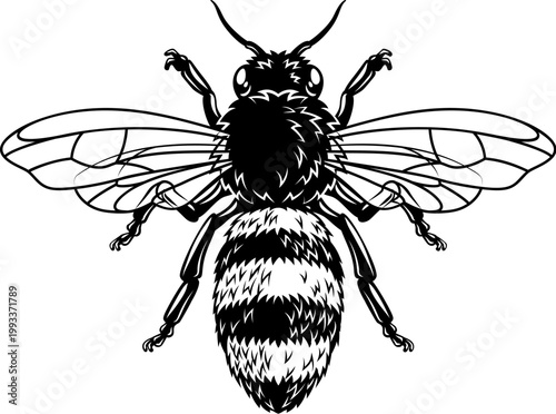 Bumble honey queen bee hone...