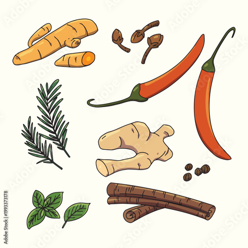 Kitchen herbs and spices illustration set for food menu design