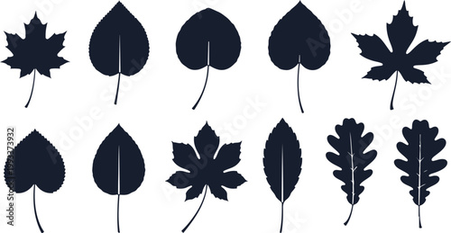 Collection of various black leaf silhouettes isolated on white background