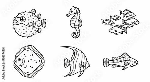 Six distinct line drawings of various sea creatures on a white background