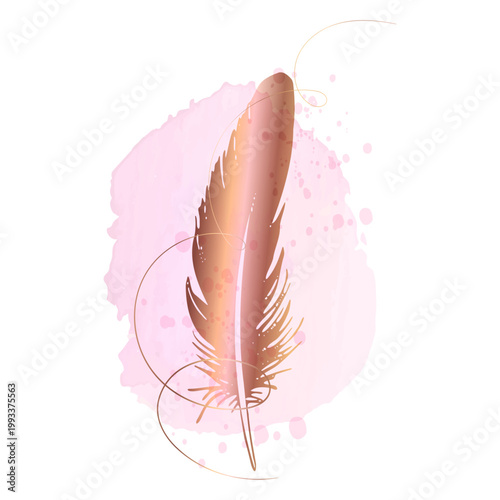 Rose gold feather watercolor luxury feminine wall art for branding packaging beauty interior premium campaigns today