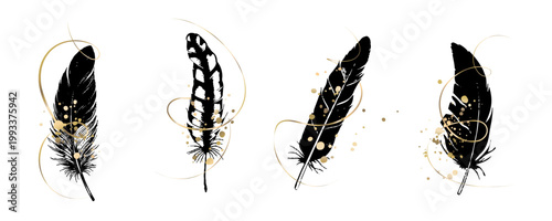 Black gold feather luxury wall art elegant branding packaging set, decor printable digital sales premium design asset modern