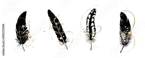 Black gold feather luxury wall art elegant branding packaging set, decor printable digital sales premium design asset modern