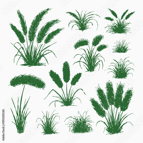 Seamless pattern of isolated green cannabis leaves and hemp plants on white background featuring marijuana herb branches and tropical nature illustration for medicinal or vector design