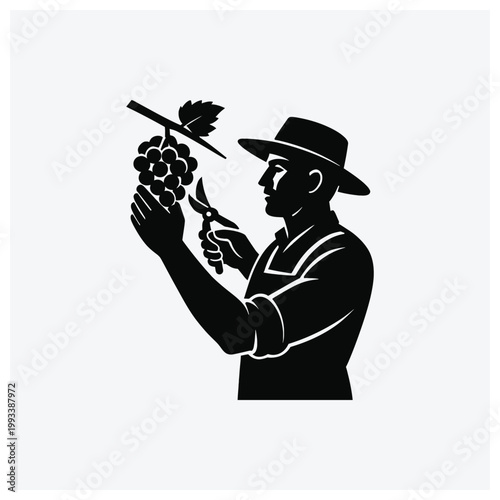 Wine grape picker silhouette icon, viticulture worker harvesting grapes