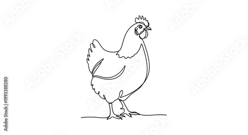 A drawing of a single chicken.