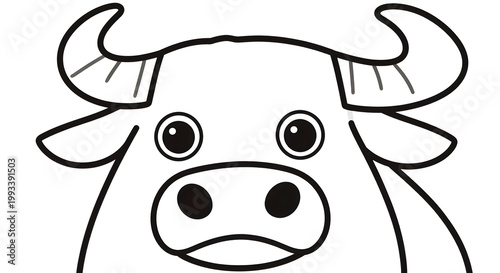 A black and white cow face with a big nose