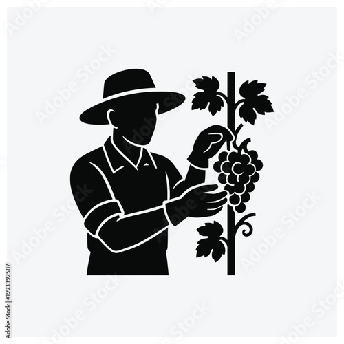 Grape picking worker silhouette with bunch of grapes