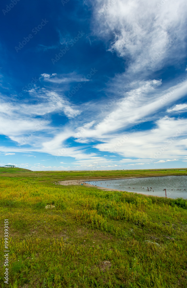 Obraz premium Hulunbuir Manzhouli Erka National Wetland Park: An Ecological Canvas of Blue Water, Sky, and Lush Green Grass