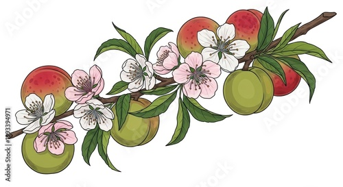 Blossoming Apple Branch with Fruit and Flowers