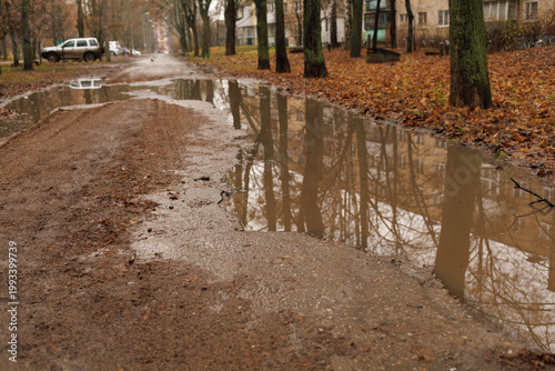 A dirt road shows puddles formed by recent rain. Trees line the street, and leaves cover the ground