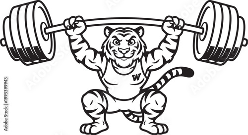 Weightlifting tiger mascot lifting barbell in squat position with weightlifting strength exercise athletic