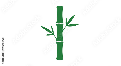 Bamboo Plant Stem with Green Leaves.
