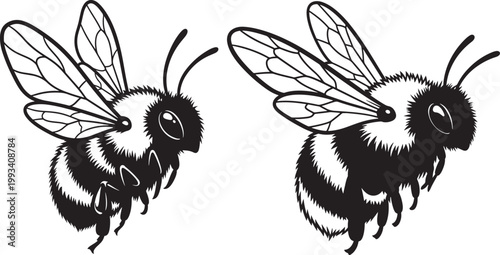 Two cartoon bumblebees flying with line art black and white apiary related bumblebee wildlife illustration honeybee creature pollinator domestic minimalist environment