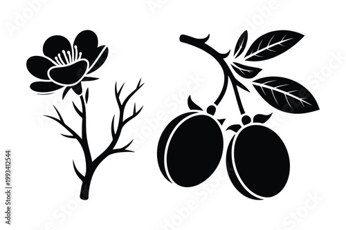 Flower and fruit branch silhouettes: blossom and plums with silhouette, abstract
