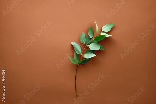 Green Plant Stem Against Simple Brown Background With No Distractions in a Cl...