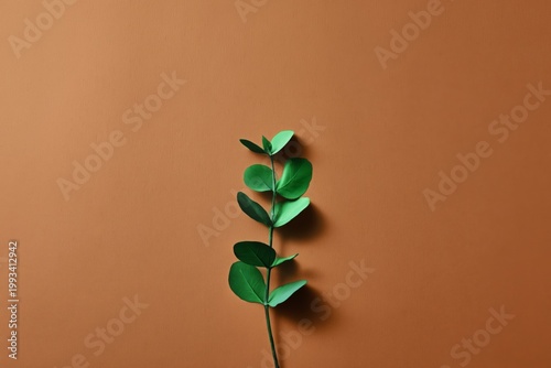 Green Plant Stem Against Simple Brown Background With No Distractions in a Cl...
