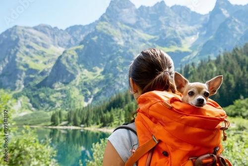 Hiking With a Dog Near a Lake Surrounded by Mountains on a Sunny Day
