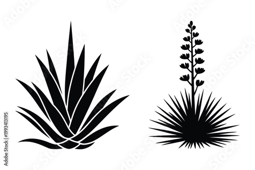 Photography Desert plant silhouettes: agave and yucca with silhouette succulent abstract