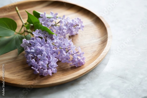 Purple Lilacs and Green Leaves on a Wooden Plate in a Bright Indoor Space Dur...