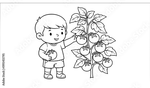 Cute Kid Gardening Coloring Page – Boy Picking Tomatoes Printable