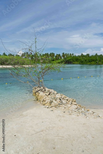 beach and sea