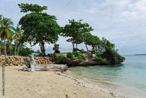 view of palm trees on the beach