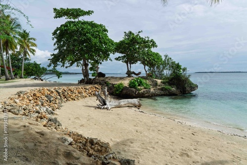 view of tropical beach with palm trees
