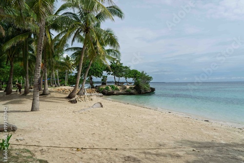 tropical beach with palm trees