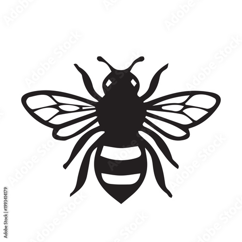 A close-up vector illustration of a bee and wasp with wings isolated on a white background depicting nature's flying insects and common pests like the housefly
