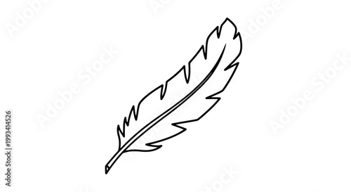 Simple Black and White Feather Illustration.