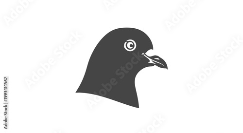 Black Pigeon Head Illustration Profile View.