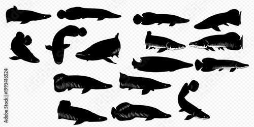 Set of black fish silhouettes, including various species such as lungfish, isolated on a transparent background, perfect for educational or design projects.