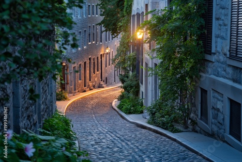 Path Through a Stone Street With Flowers and Sunlight in a Quiet Village Duri...