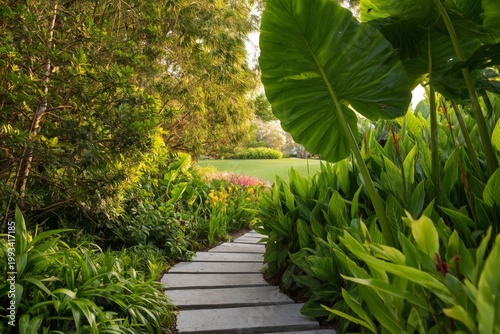 Pathway Leads Through Green Plants to Open Space in a Garden During Daylight