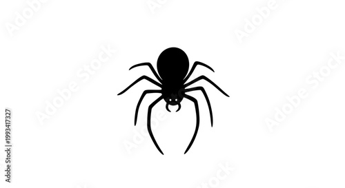 Принти на полотні Black Spider Silhouette Isolated on White.