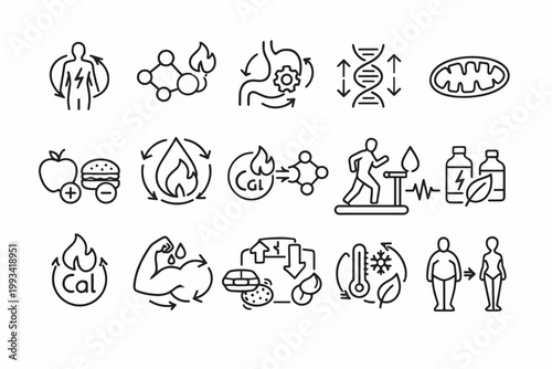 Metabolism Line Icons Set for Metabolic Process, Healthy Digestion, Calorie Burning, Weight Loss, Muscle Building, DNA, Mitochondria, Energy, Nutrition, Fitness, and Glucose Level Symbols.