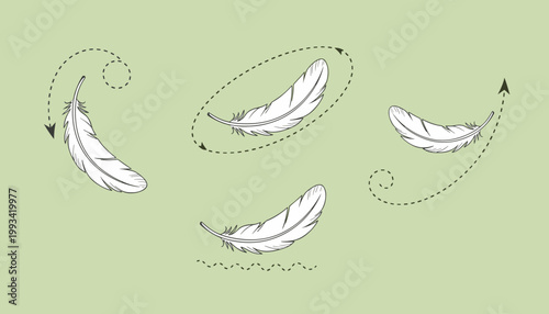 Elegant White Bird Feathers Floating and Spiraling in the Air with Motion Paths for Softness Purity and Lightweight Concept Vector Illustration