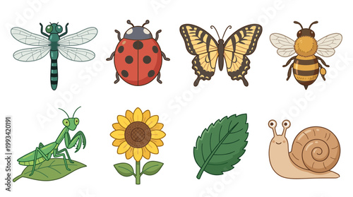 Garden Nature Elements and Insects Set, Dragonfly, Ladybug, Butterfly, Bee, Praying Mantis, Sunflower, Green Leaf and Snail Vector Illustration